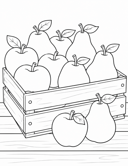 Fruit Coloring Book