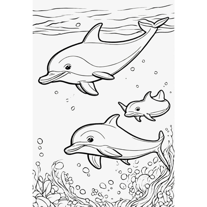 Sea Animals